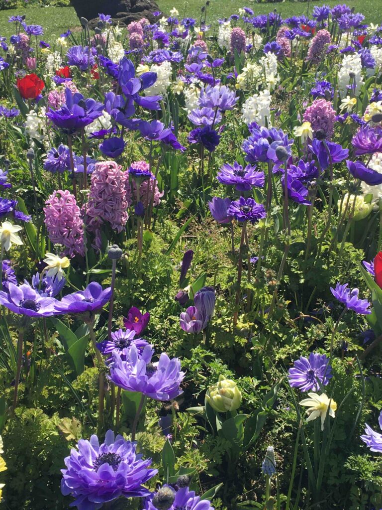 街中の花壇の写真