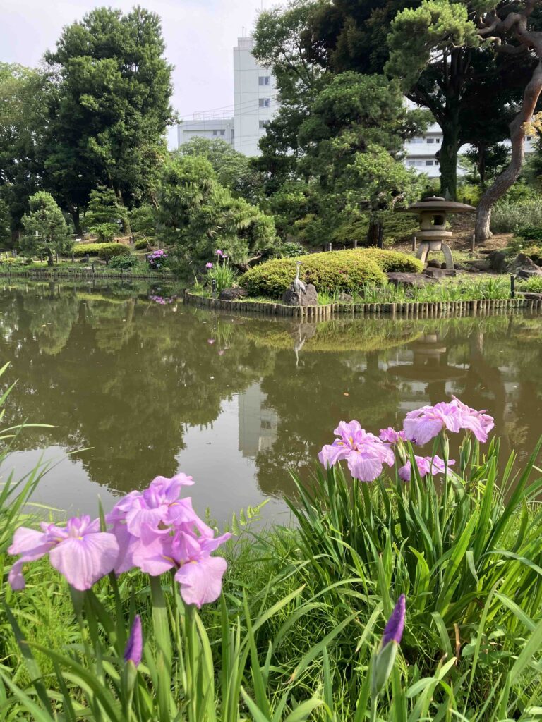 菖蒲と鳥の入った細川庭園